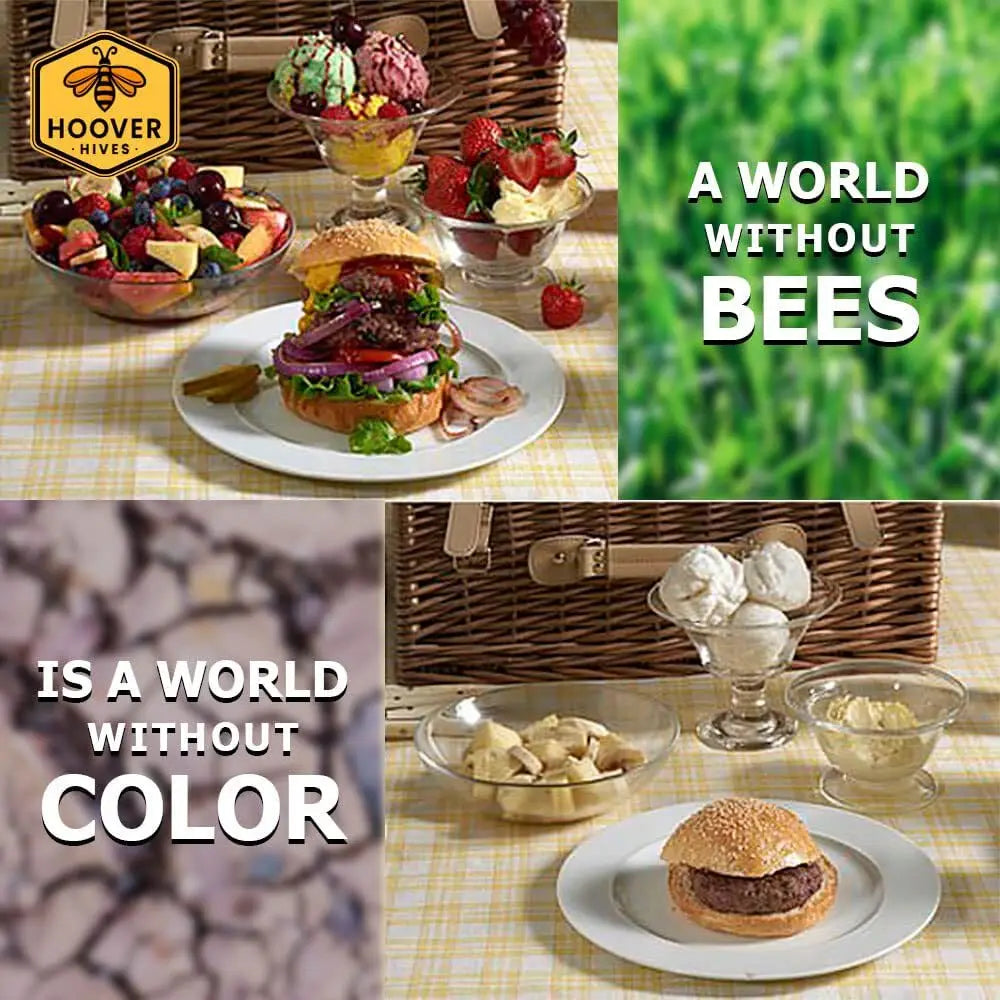 Complete 8-Frame Beehive Kit – Wax-Coated Fir Wood, Includes 2 Deep Brood Boxes, 1 Medium Super, Langstroth Frames, Customized