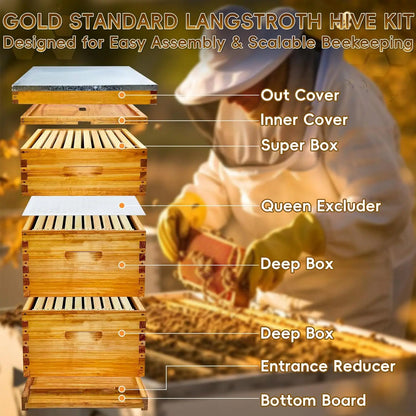 10-Frame Langstroth Beehive Beeswax Coated, Complete Bee Hive Kit Include Bee Frames and Waxed Foundation Sheets, Customized