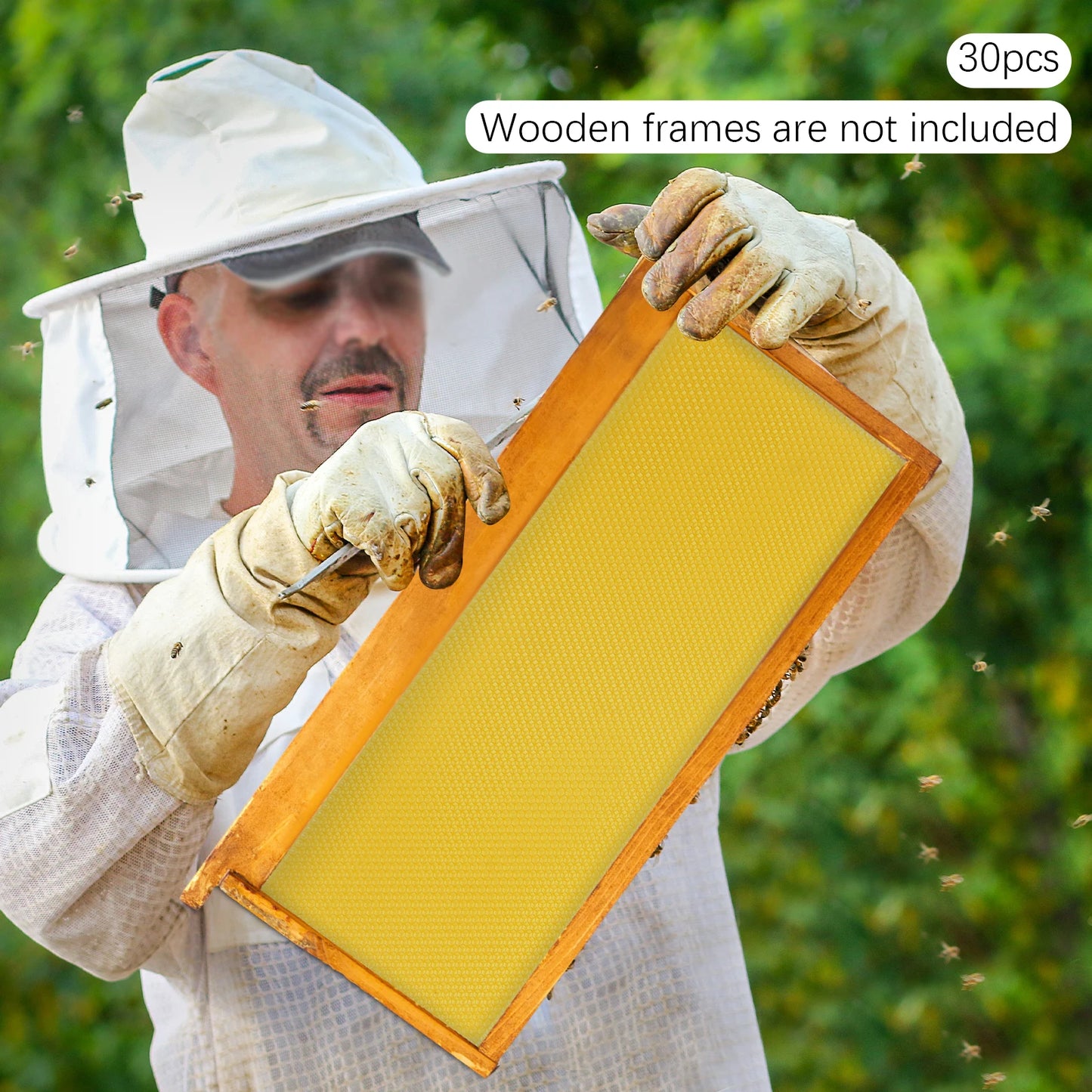 30-Pack Natural Beeswax Hive Foundations Beekeeper's Starter Kit 7.68x16.34" Beekeeping Sheets for Increased Honey Production