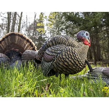 Avian X LCD 1/2 Strut Jake Turkey Decoy