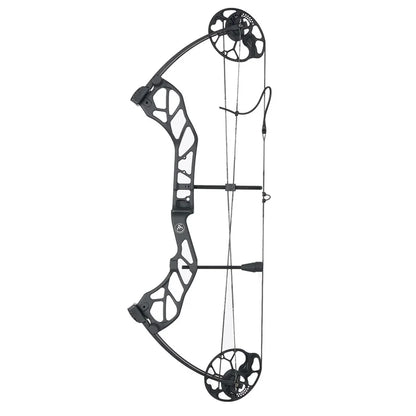 Compound Bow Archery Sets 19-70lbs Draw Weight Adjustable Shooting Right Hand Hunting Bows Adult Beginners Kit Up to IBO 320 Fps