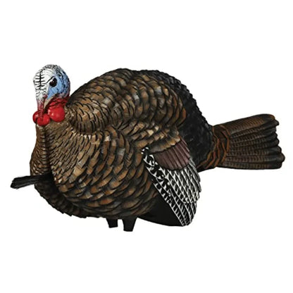 Avian X LCD 1/2 Strut Jake Turkey Decoy
