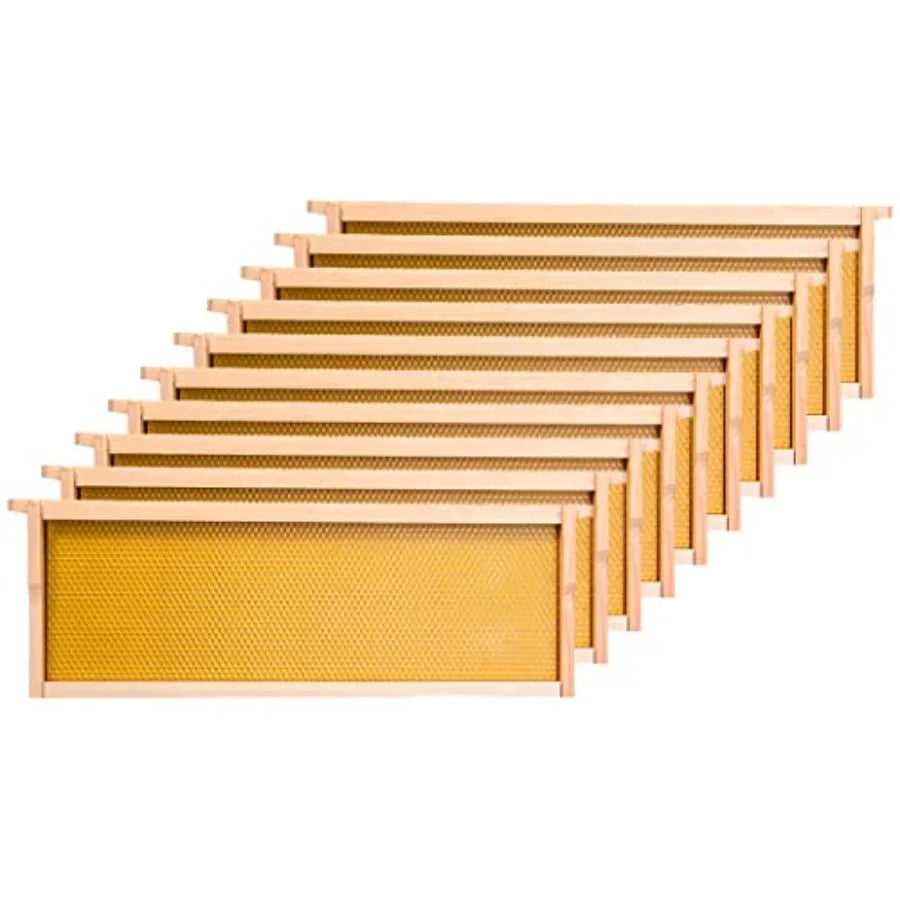 Honey Lake Medium Beehive Frames and Foudations Kit10 Pack Super Wooden Frames and Beeswax Dipped Plastic Foundations for Beeke