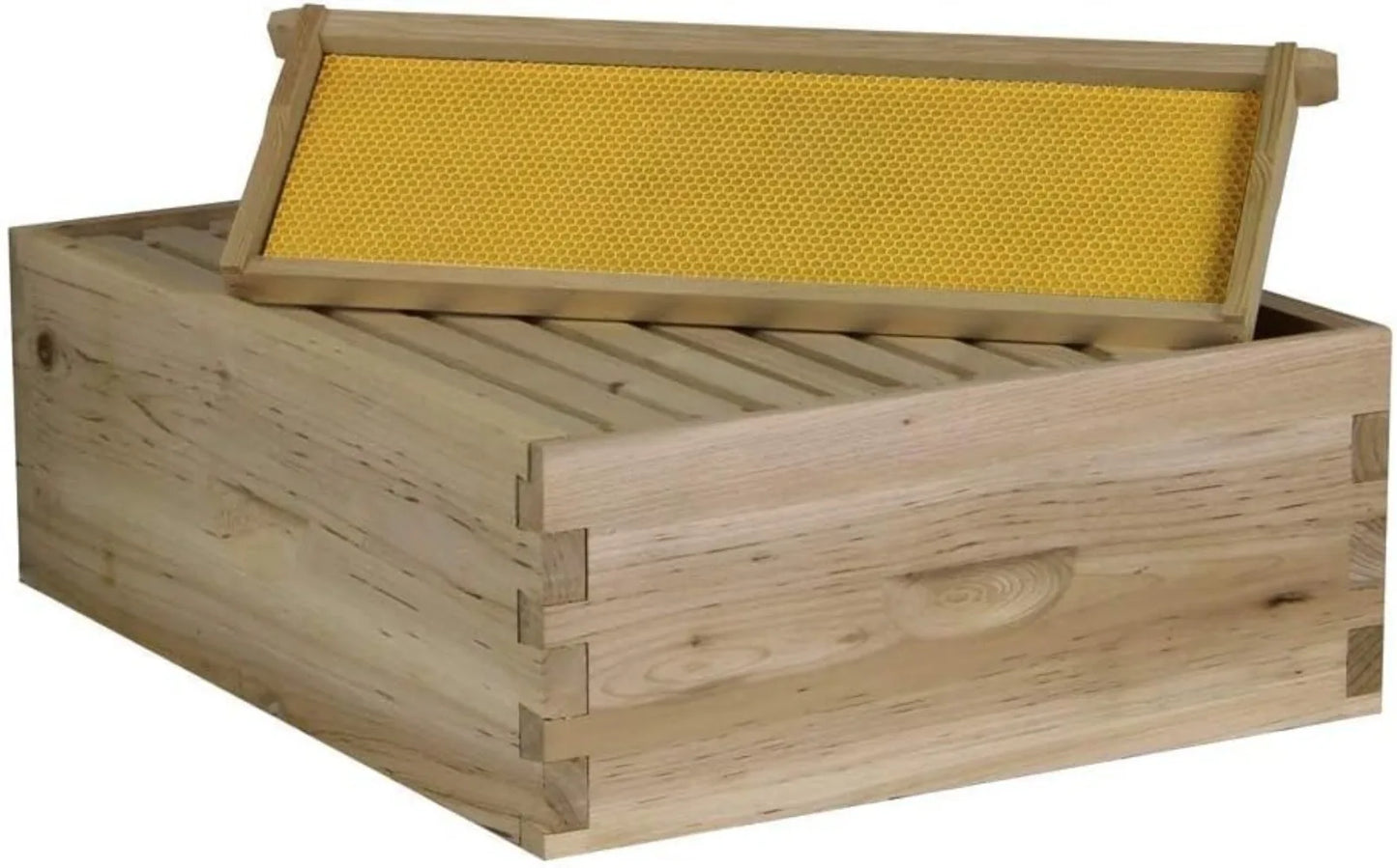 Starter 10 Frame Beehive Kit - Includes 2 Hive Bodies, 1 Super Box, Pine Frames, Wax Coated Foundations and More
