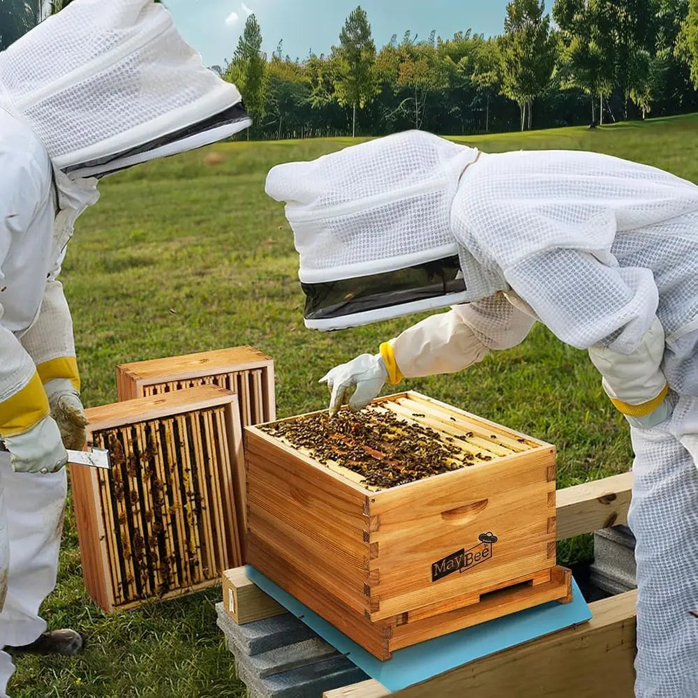 8-Frame Beehive Kit with Wax-Coated Hives and Essential Beekeeping Equipment