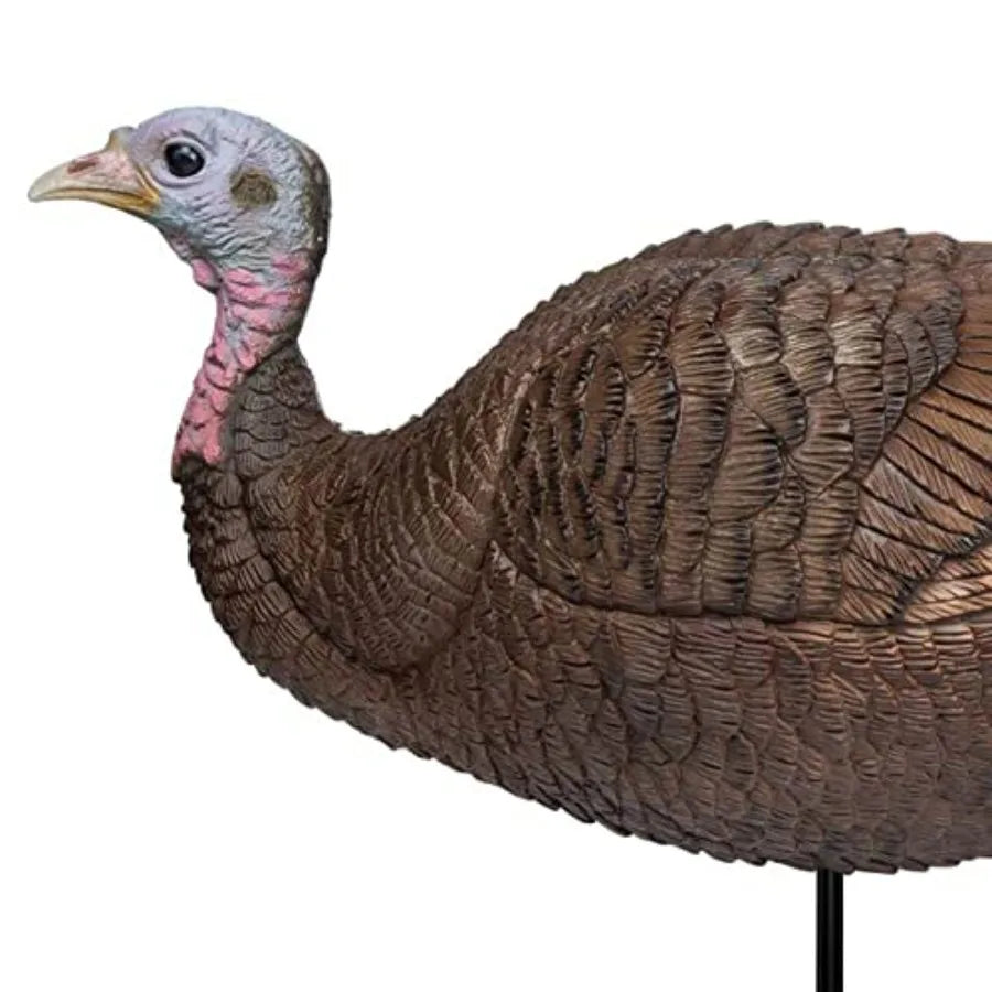 Primos Hunting Lil Gobstopper Hen
