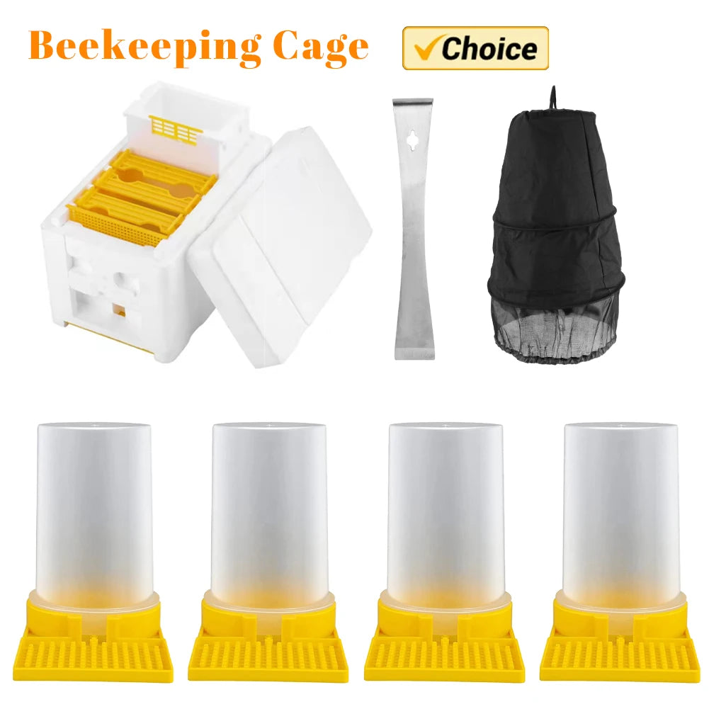 Beekeeping Tools For Beekeeper Supplies Bee Hive Frame Holder Equipment Kit Beehive Pollination King Bees Hive Box