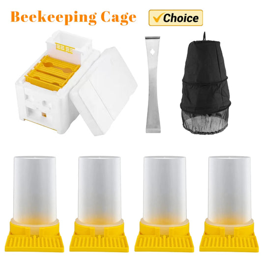 Beekeeping Tools For Beekeeper Supplies Bee Hive Frame Holder Equipment Kit Beehive Pollination King Bees Hive Box