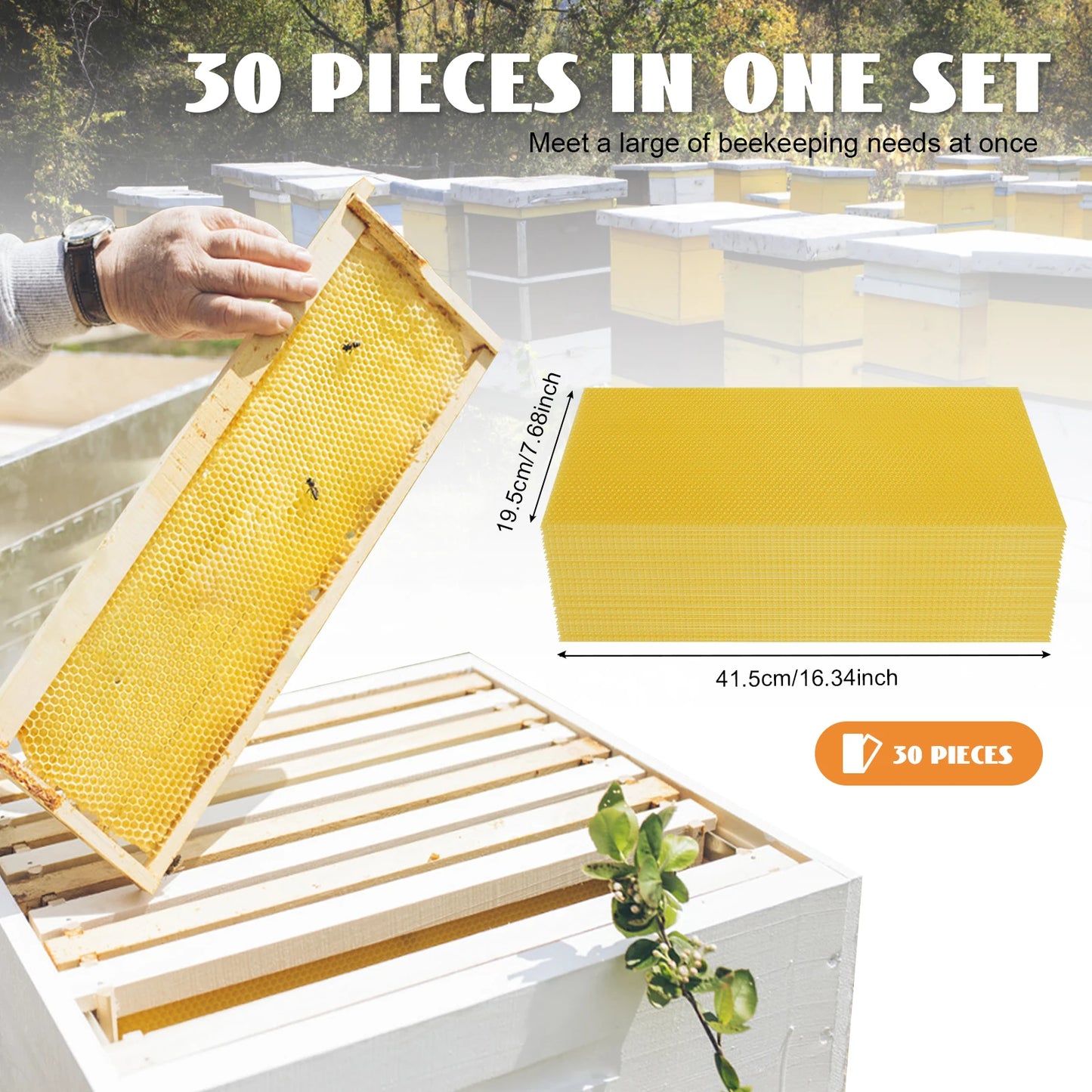 30-Pack Natural Beeswax Hive Foundations Beekeeper's Starter Kit 7.68x16.34" Beekeeping Sheets for Increased Honey Production