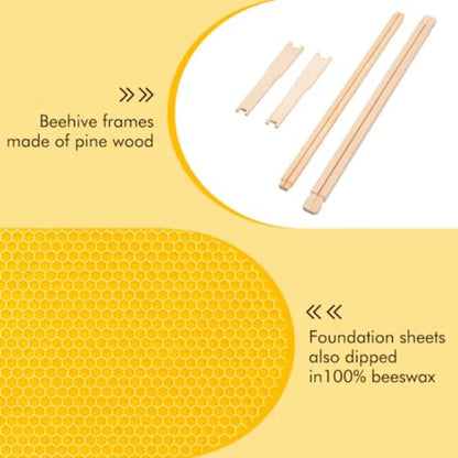 Honey Lake Medium Beehive Frames and Foudations Kit10 Pack Super Wooden Frames and Beeswax Dipped Plastic Foundations for Beeke