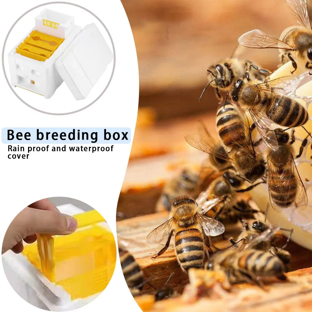 Beekeeping Tools For Beekeeper Supplies Bee Hive Frame Holder Equipment Kit Beehive Pollination King Bees Hive Box