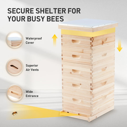 Bee Hive Boxes Starter Kit