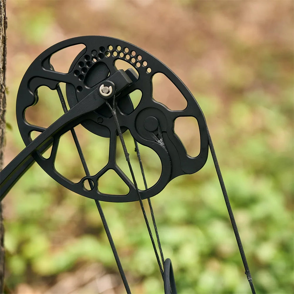 Compound Bow Archery Sets 19-70lbs Draw Weight Adjustable Shooting Right Hand Hunting Bows Adult Beginners Kit Up to IBO 320 Fps