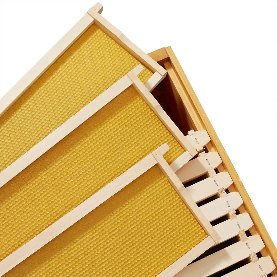 10 Assembled Beehive Frames with Waxed Natural Foundations for Beekeeping,