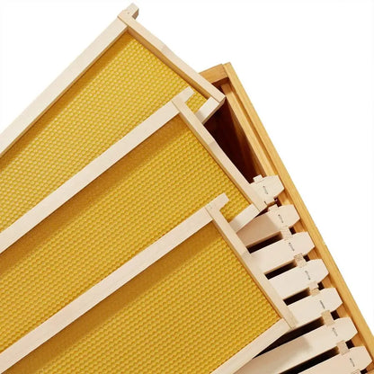 10 Assembled Beehive Frames with Waxed Natural Foundations for Beekeeping,