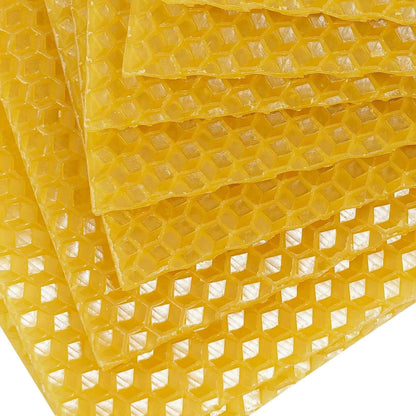 30 Pcs Bee Hive Foundations Beehive Frames Natural Pure Beeswax for Faster Comb Building & Higher Honey Yield 7.68x16.34 Inch