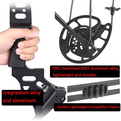Compound Bow Arrow Set with Spine 500 Carbon Arrows 20-70lbs Adjustable Draw Weight 320FPS High-Strength Alloy Handle RH/LH for Adults Beginners Hunting Shooting Target Practice Outdoor Sports Accessories
