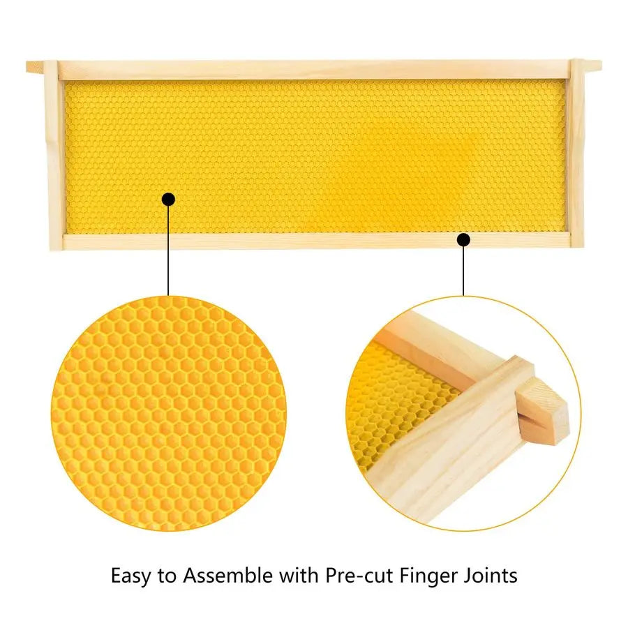 Medium Super Box Wooden Beehive Frames and Beeswax Dipped Plastic Foundations for Beekeeping Unassembled