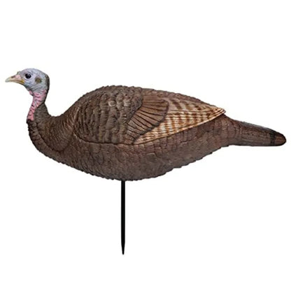 Primos Hunting Lil Gobstopper Hen
