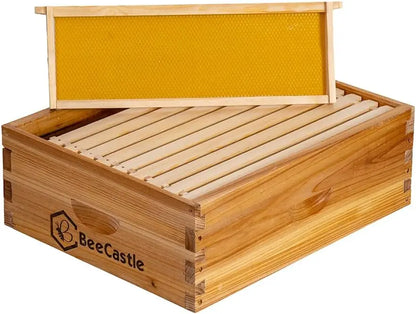 10 Frame Medium Super Bee Hive Box, Langstroth Honey Bee Hive with Beeswax Coating, Frames and Foundations