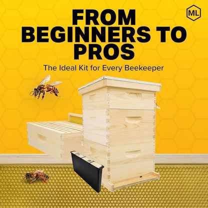 10-Frame Beehive Kit with Wooden Frames & Waxed Foundation, 2 Deep Boxes, 1 Medium Box, Unpainted, Made in USA
