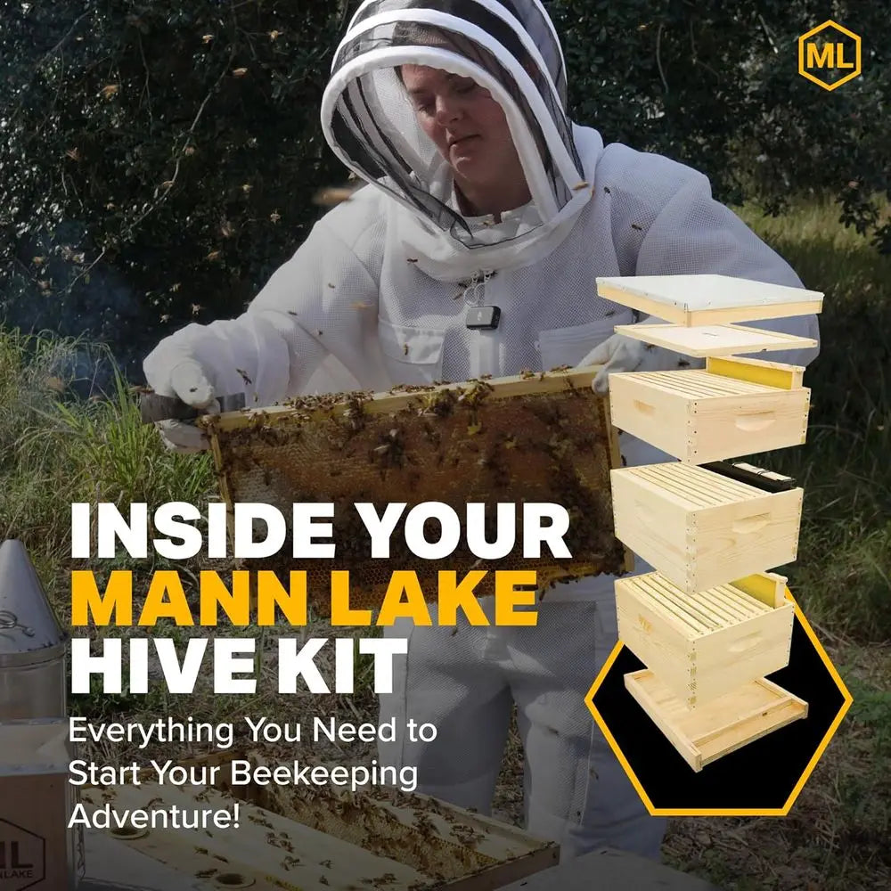 10-Frame Beehive Kit with Wooden Frames & Waxed Foundation, 2 Deep Boxes, 1 Medium Box, Unpainted, Made in USA