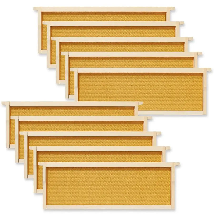 10 Assembled Beehive Frames with Waxed Natural Foundations for Beekeeping,