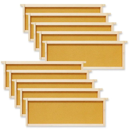 10 Assembled Beehive Frames with Waxed Natural Foundations for Beekeeping,