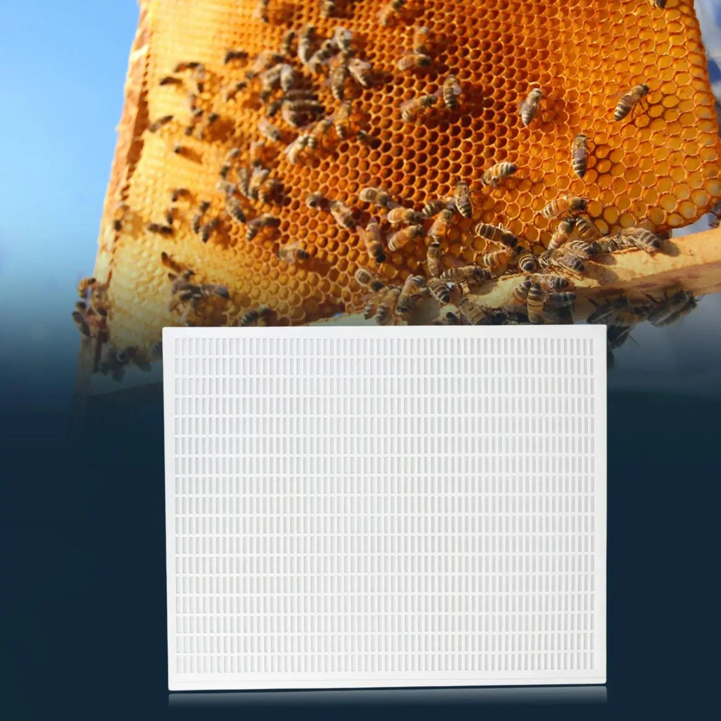 Sturdy 10 Frame Queen Bees Excluder Easily Clean Separate Queen Bees Board Backyard Accessories Supplies