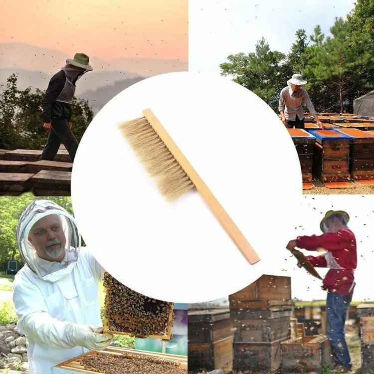 Honey Bee Hive Tools Beekeeping Set