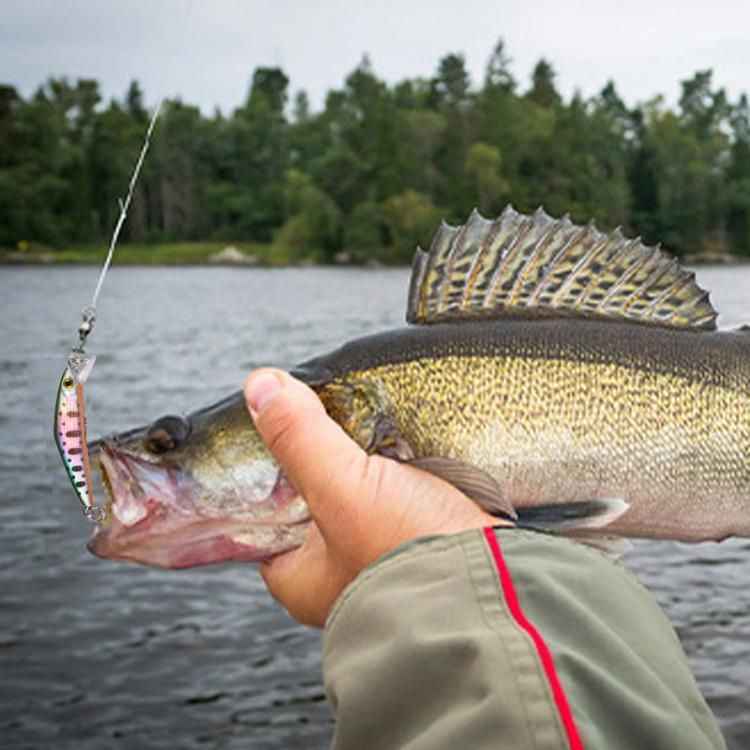 Multi-color Outdoor Fishing Hook False Lure Set