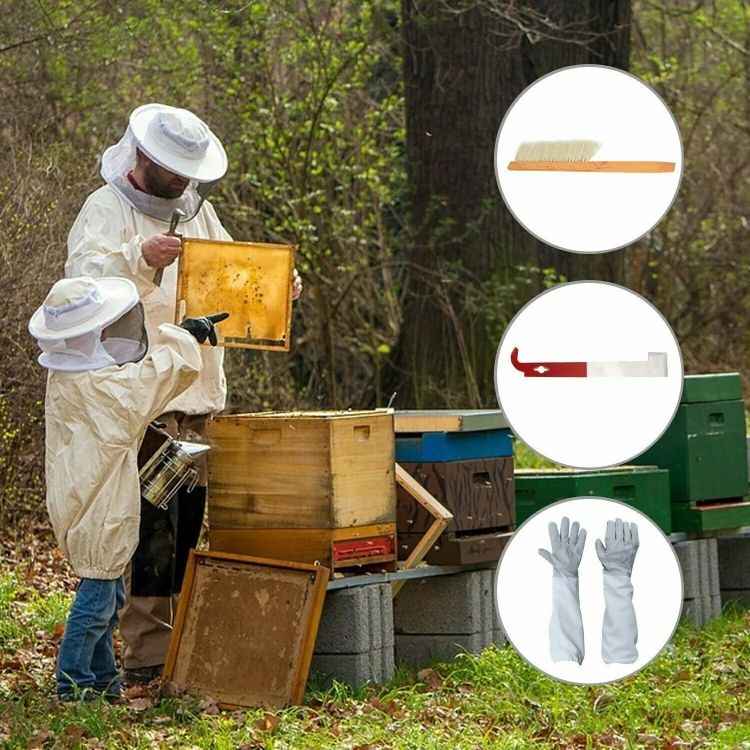 Honey Bee Hive Tools Beekeeping Set